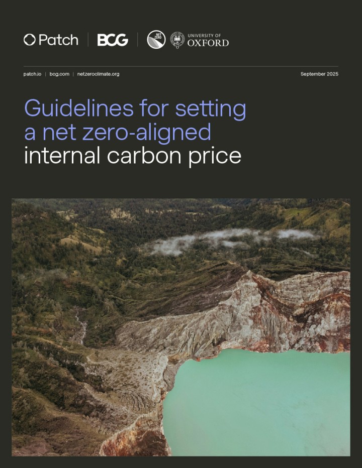 Guidelines for setting a net zero-aligned internal carbon price
