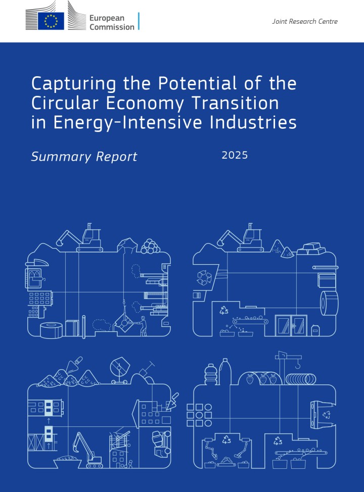 Capturing the Potential of the Circular Economy Transition in Energy-Intensive Industries